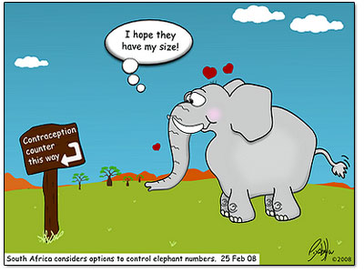 elephant-cartoon